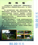 翰林桥简介