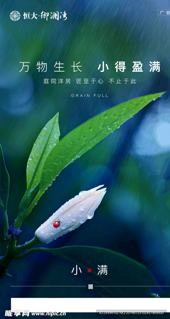 节气贴片