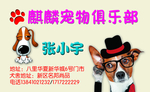 宠物名片