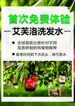 洗发水免费试用海报广告