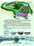 火龙果宣传单