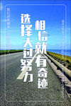 选择