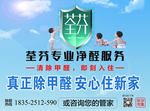 除甲醛