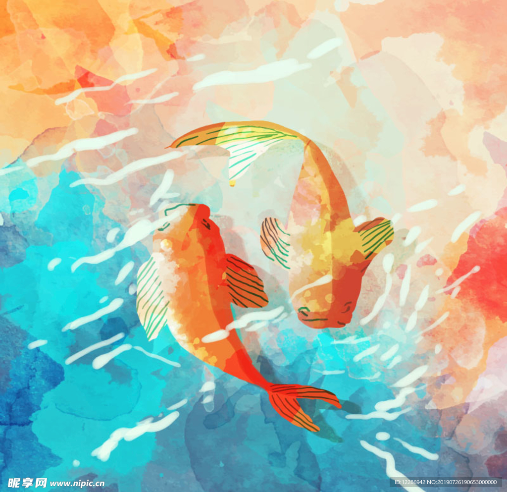 河里的鲤鱼水彩插画