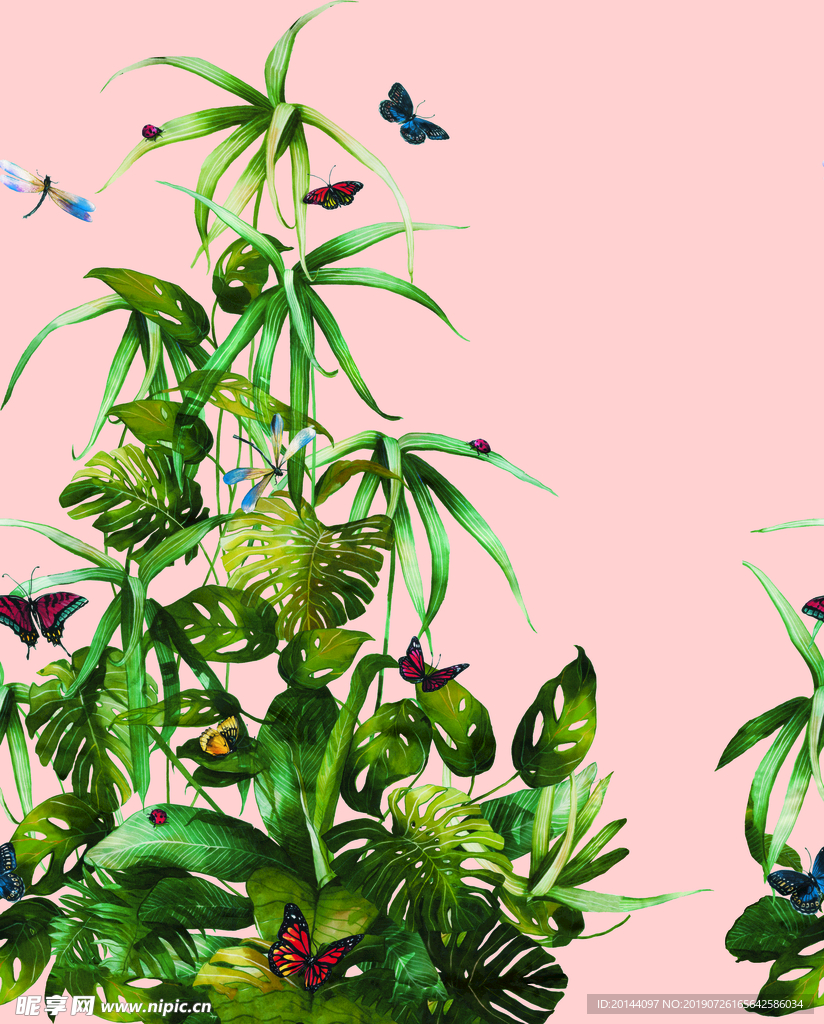热带花