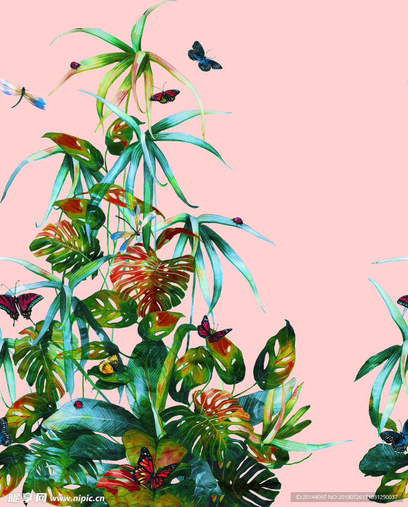热带花