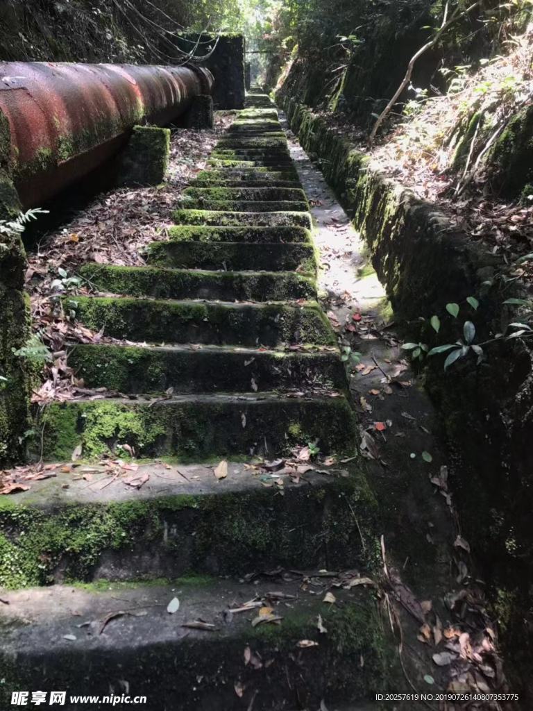 登山阶梯