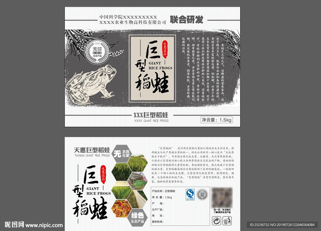 巨型稻蛙