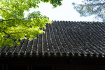 屋檐