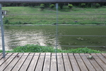 木栈道与湖边