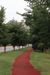 公园里的小路