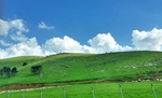 背景图