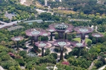 背景图