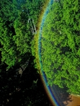 背景图