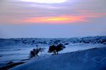 雪原沙海的夕阳