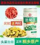 胎菊主图
