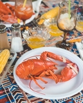 美食龙虾