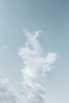 小清新背景