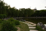 风景