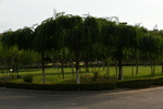 风景
