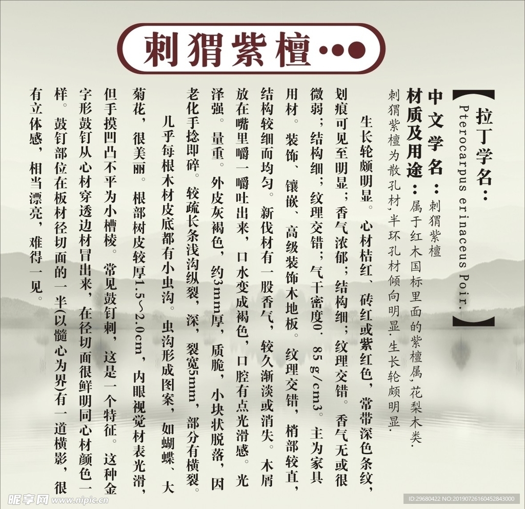 刺猬紫檀简介