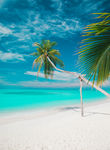 海边风景