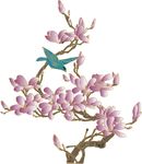 玉兰花