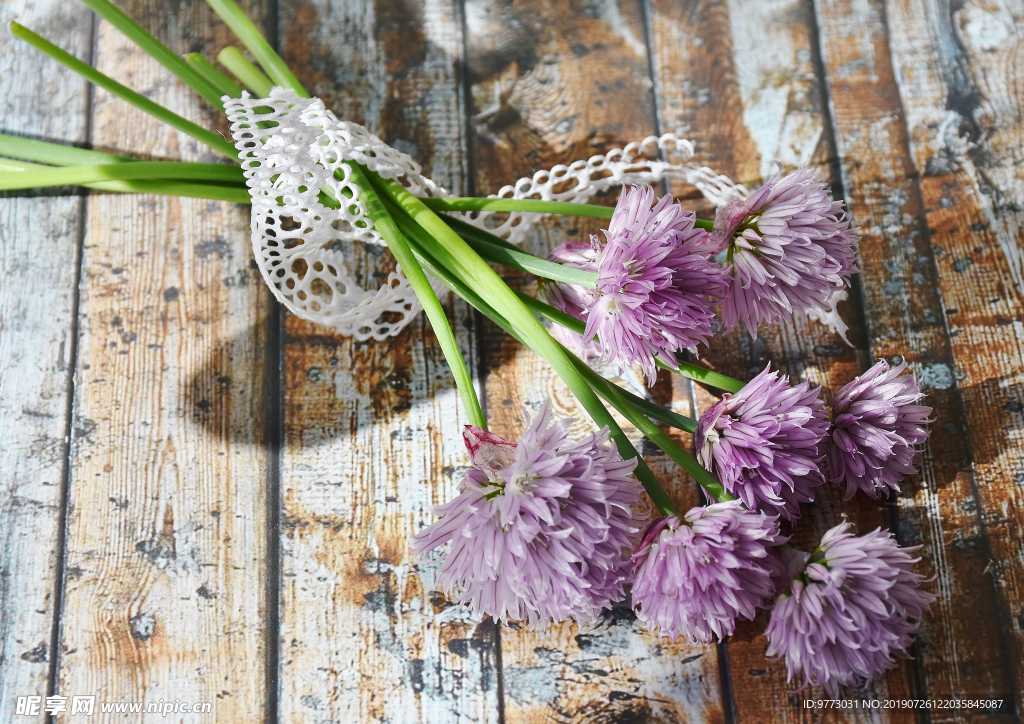 韭菜花