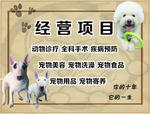 宠物店经营项目