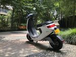 小牛电动车