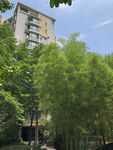 小区绿化