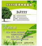 名片 环保 绿植 草地
