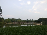 田园自然风景背景画面