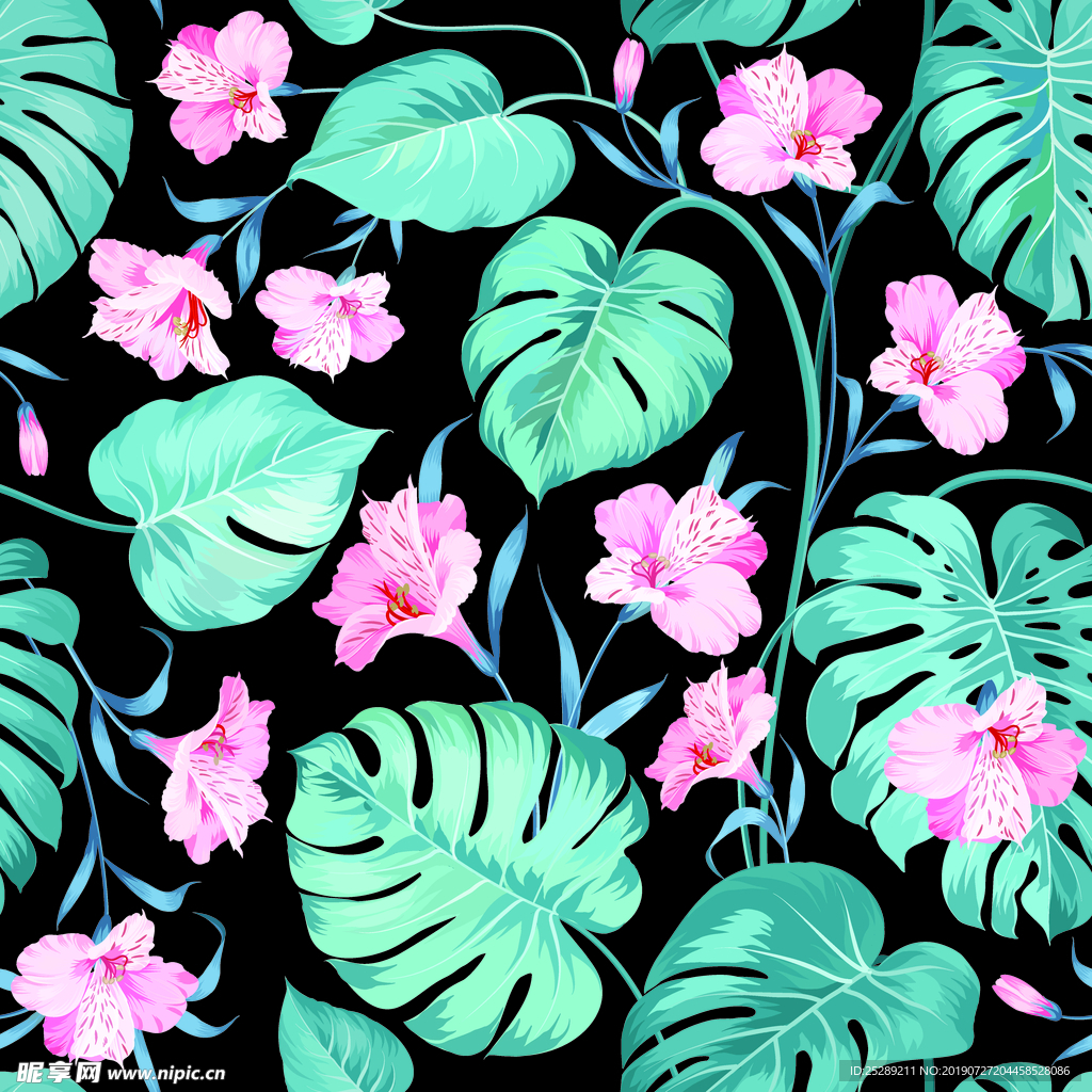 龟背竹 花朵 热带花手绘
