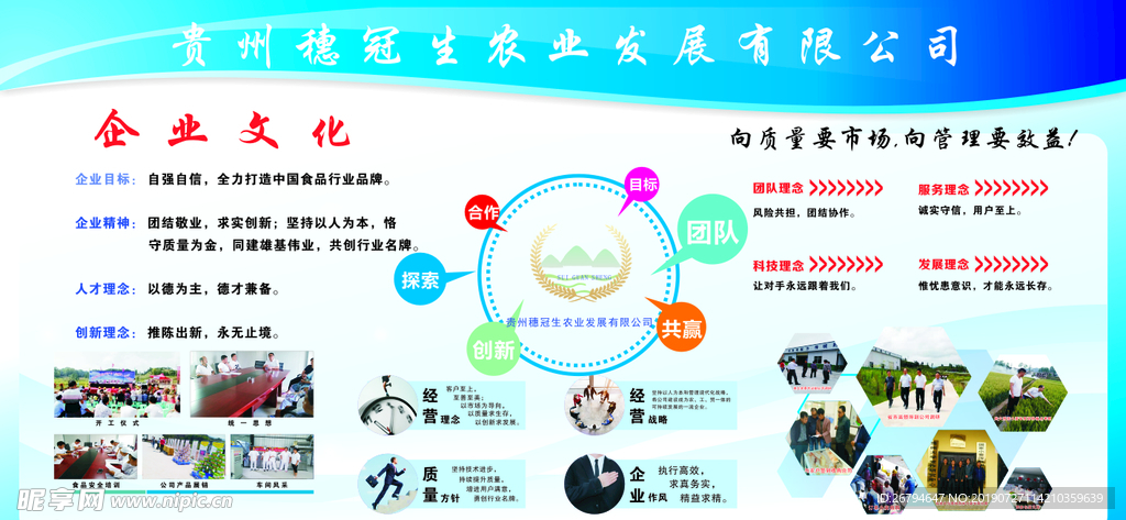 企业  文化