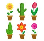 花盆