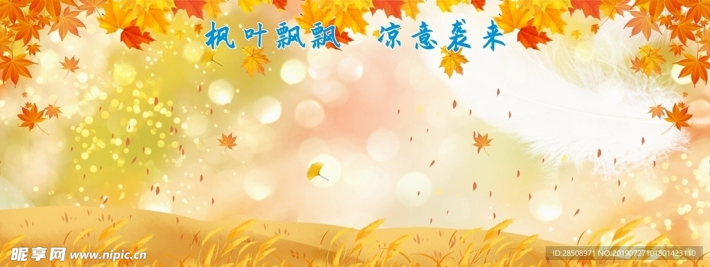 枫叶背景图