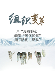 企业文化