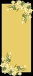 边框