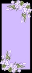 边框