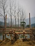 咸宁市熊家湾