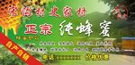正宗纯蜂蜜