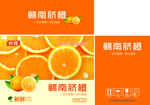 橙子平面图