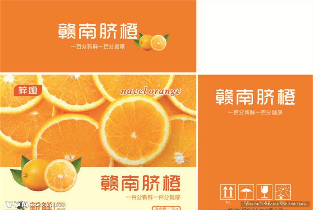 橙子平面图