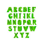 树叶字母
