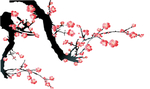 梅花