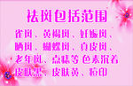 祛斑包括范围