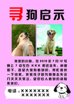 寻狗启示