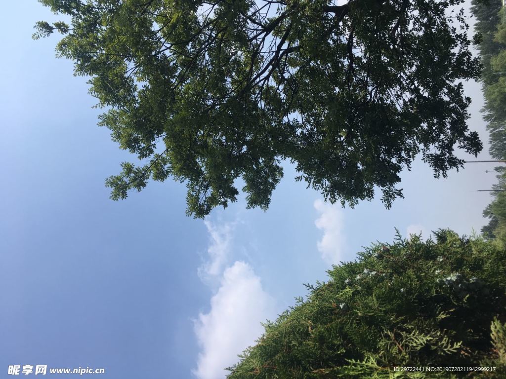 绿色