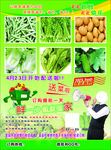 蔬菜彩页